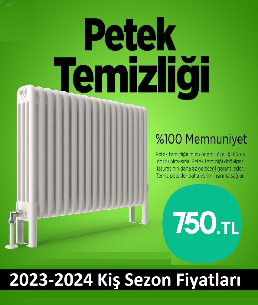 Sancaktepe Petek Temizliği Tek Fiyat Teklifi Al
